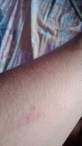 Sexyghsoh Public Immagine 