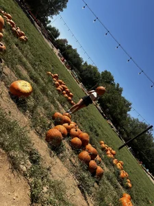 lonelylexxxie Public Pic 5