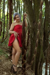 StephyJones1のWild Natureの 9枚の写真