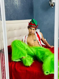 Christmas in Green de Erick_Zhimerman Foto 6