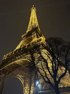 Alirawrz Paris Pic 8