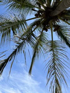 SallyWhitee Public Billede 3