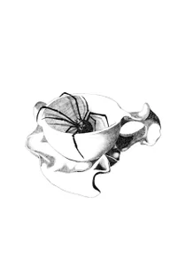 RedSpark_my tattoo sketches图片