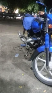 Jose1515Amador Hot صورة واحدة|Jose1515Amador Hot صورتان|Jose1515Amador Hot  6 صور|Jose1515Amador Hot  6 صورة