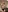 Raw Nudes 🌶️🌶️🌶️
