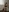 Irenea's photo