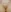 UNCENSORED