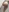 Group_Hot_Party's photo