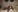 TaliaSunshine's photo