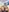 vincen_jose's photo