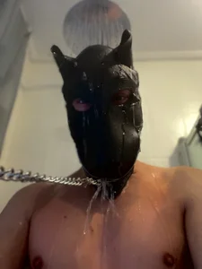 PlayDog123 Public صورة واحدة|PlayDog123 Public صورتان|PlayDog123 Public  3 صور|PlayDog123 Public  3 صورة