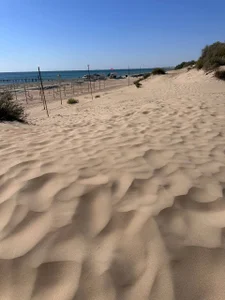 aGaGatha Public Immagine  6