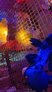 andra_rose One day with Luciana 🌸💗 사진 5