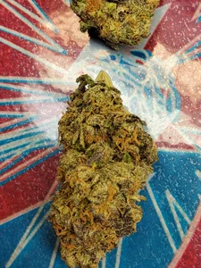 ddnutz@xh Me my skills & nuts at wo_  4. fénykép