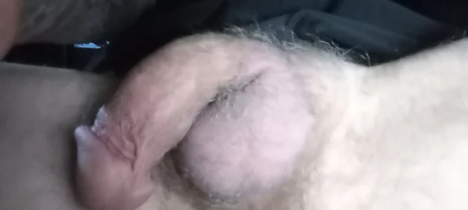 sucktraewil Public Foto