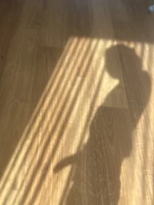 Cedez_ Public صورة واحدة|Cedez_ Public صورتان|Cedez_ Public  5 صور|Cedez_ Public  5 صورة