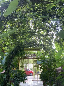 sara_gwen A little bit of my life offline 圖片 6