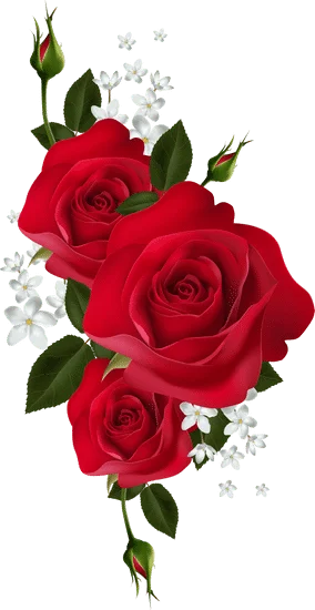 صور rasim20269 الرائجة  8409