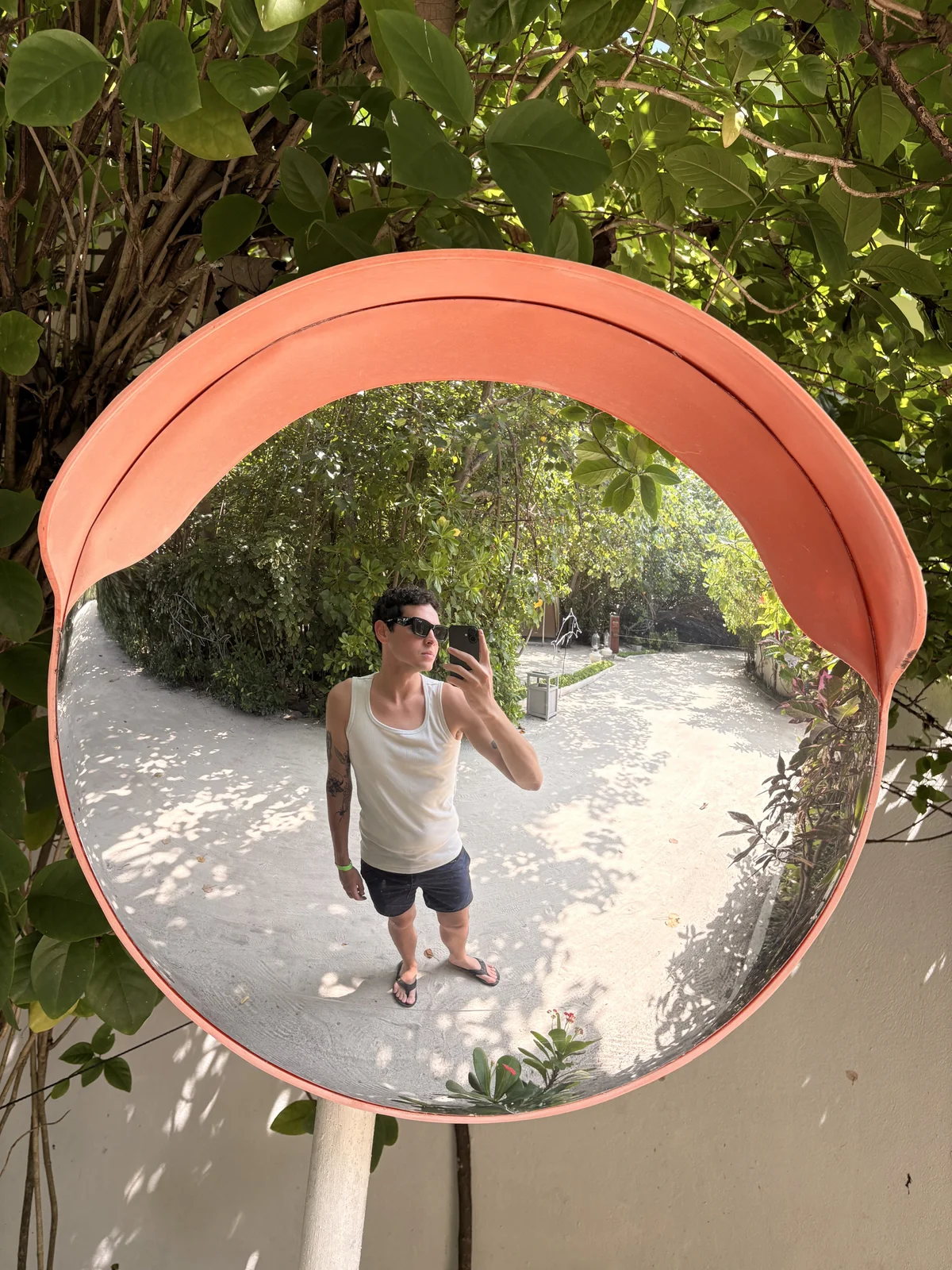 mateo-lins6 Foto en Tendencia 1560