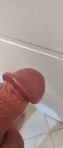 carvalhesco: Public ( фото)