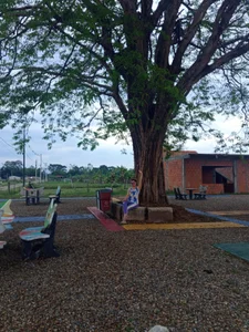 connecting with nature de Chanelll_Taylorr_  2 Imagens