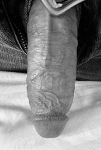 Public de Hawker549 Foto