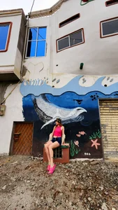 Vanessa_Norris 🐬🐬🐬 Immagine  6