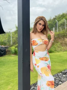 Lissa_gray autumn Εικόνα