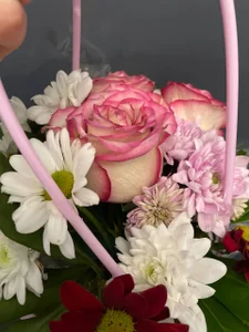 Public de Xonalenei Foto 5