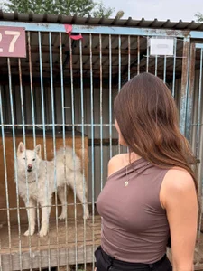 chloemilka kullanıcısının SHELTER albümü -  4 fotoğraf