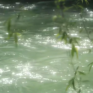 Angel__lika 🌼🌼🌼 Bilde