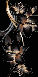 zsder's photo