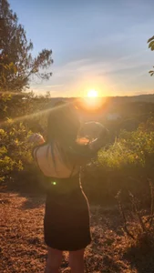 atenea_dragon__ sunset Poză