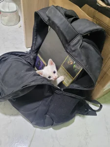 Lovelyamyy Yukime photodump Pic 7