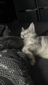 Lana__May Public Bilde 4