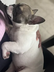 jimenamime Lo mejor de mi vida ELLA 💕🐾 Pic 9