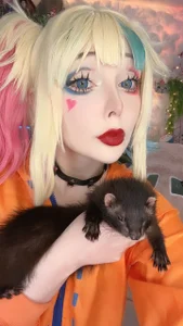 cutelittlepuff Harley Quinnn Bilde