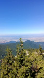 Saysomething3: Green?? ( 8 фото)