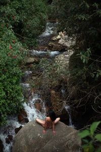 thegodmother_ Will ir be my skin? A favorite refuge in this wild univers🌠 Foto 4