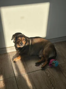 kitty_Cathie Public Pic 3