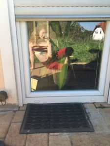 Belindafly Public 圖片 4