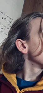 joshuatree4026 Public slika 6