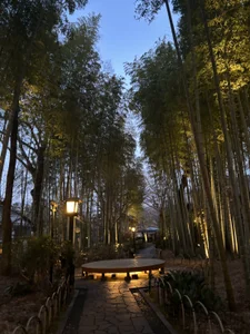 🤍 od ERI_0000  3 snímek