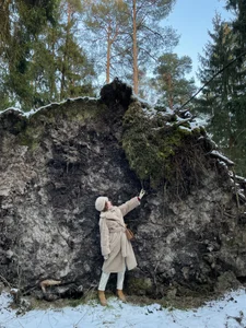 _lightmyfire Public 사진 5