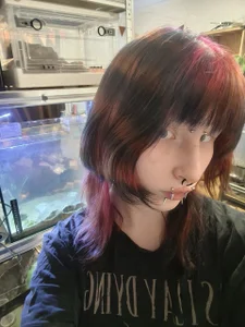 my new alboum 💖 de KandraCruser Foto 2