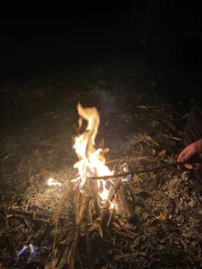 nikole_kitt nature 🌎 Εικόνα 4