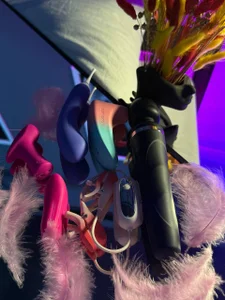 Elis_Fox my little friends Immagine  5