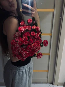 voxlesss Public Pic 5