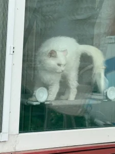 chloemilka kullanıcısının SHELTER albümü -  fotoğraf