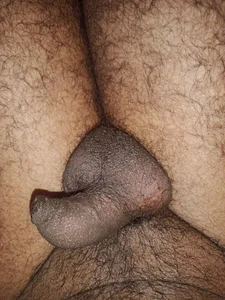 Erode_paiyan kullanıcısının Public albümü -  5 fotoğraf